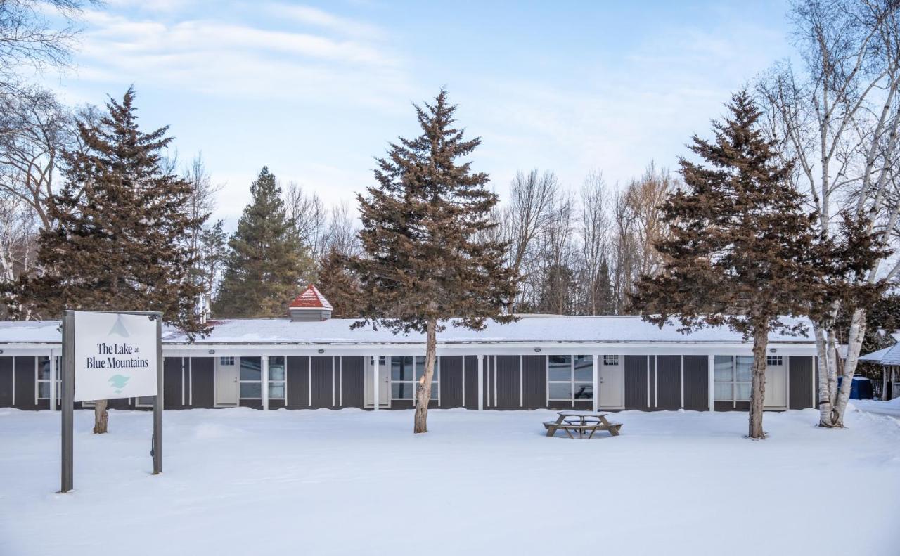 Boutique Suite #4 Блу Маунтинс Екстериор снимка